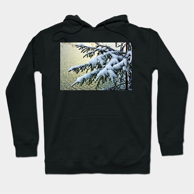 Snow on branches Hoodie by bakikaracay